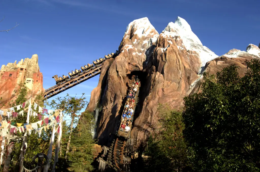 Disney's Animal Kingdom Attraction and Ride Guide 11