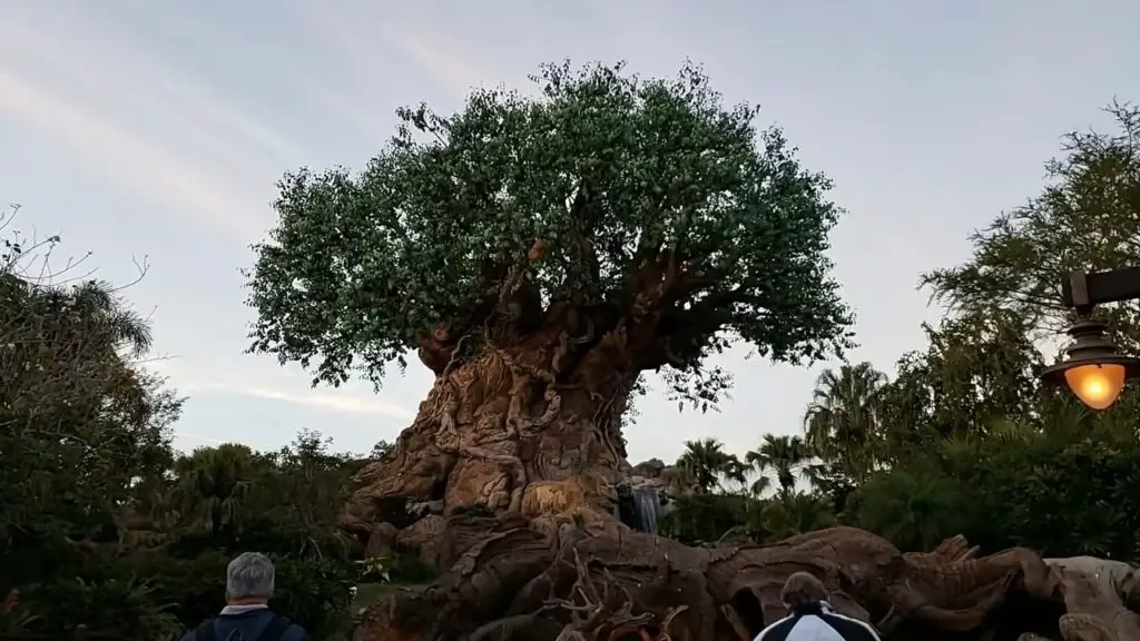 tree of life - Disney's Animal Kingdom