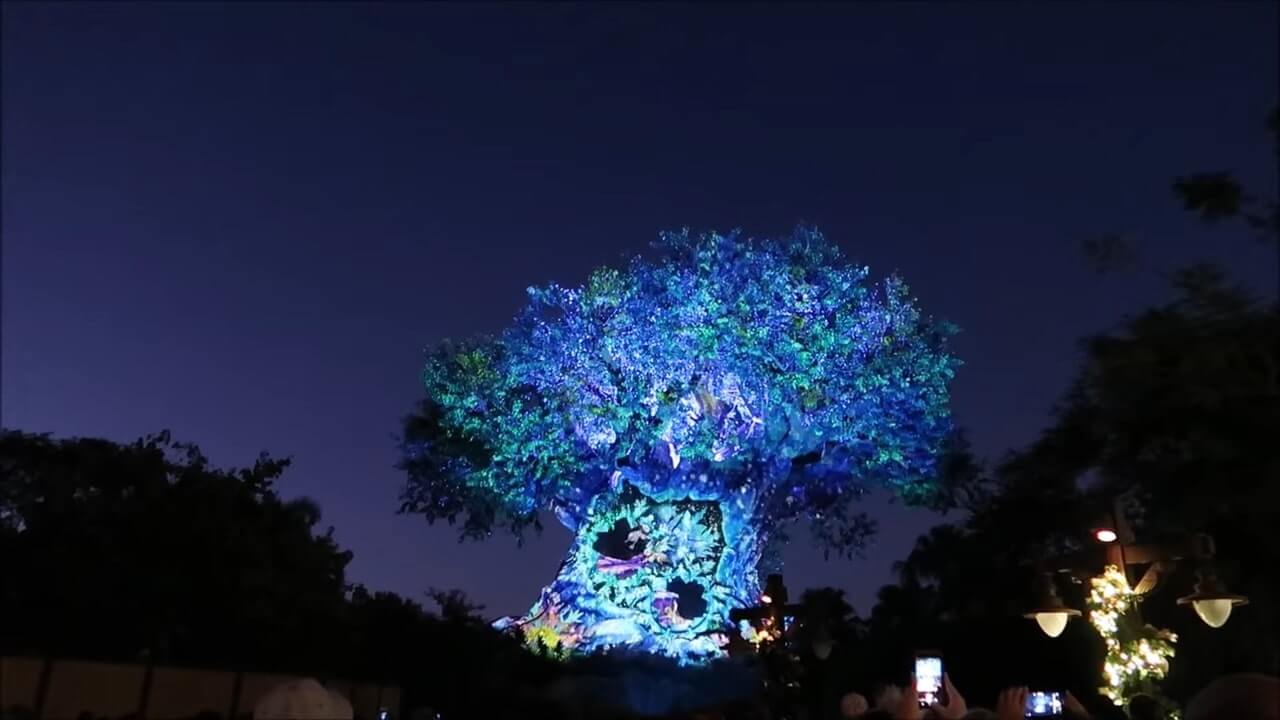 Experience The Magic Of Tree Of Life Awakenings At Disney's Animal Kingdom!