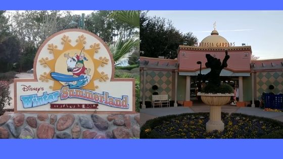 10 Top Secret Disney World Tips (Number 5 Is Awesome!) 37