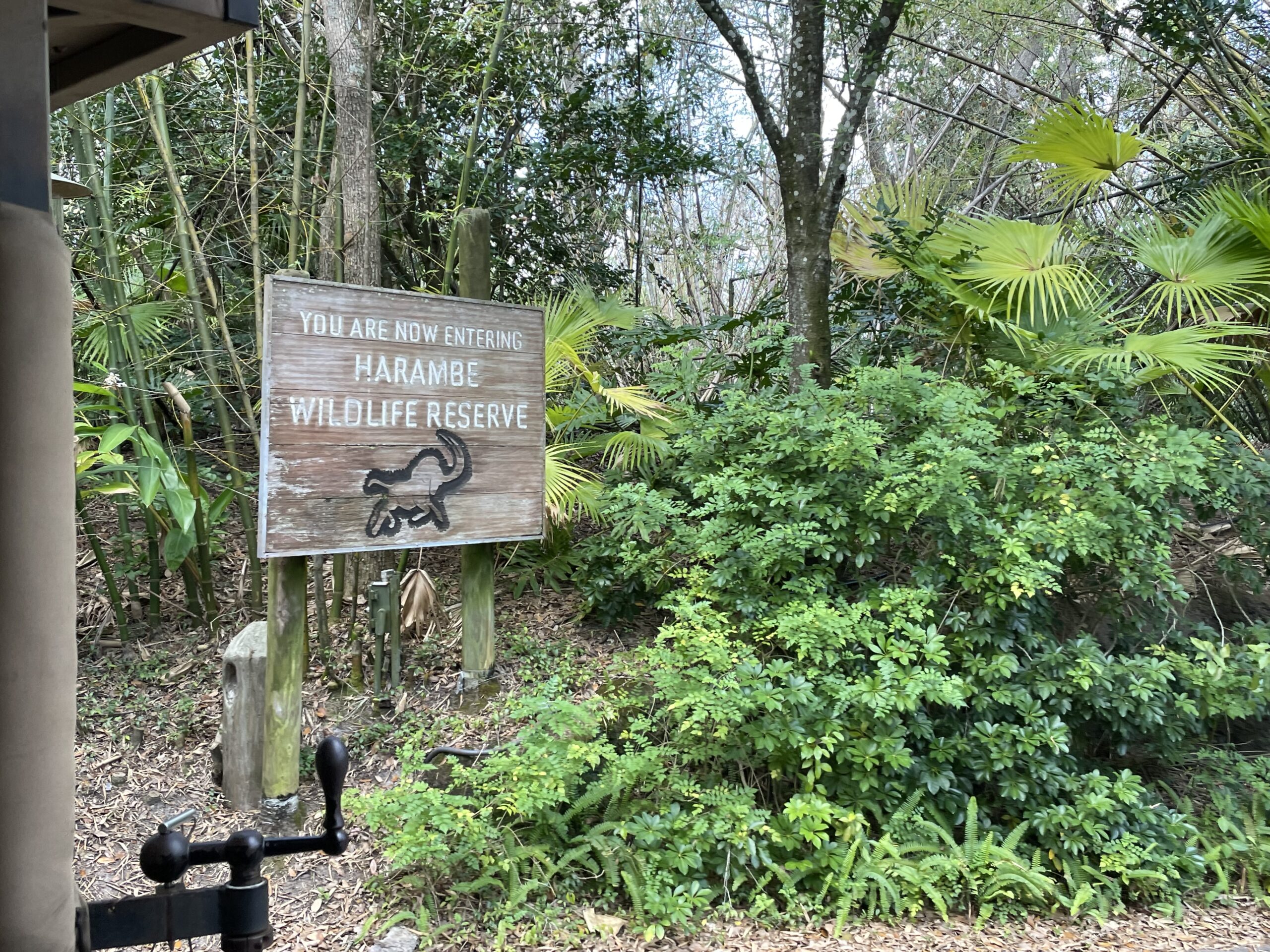 Experience A Real African Safari At Kilimanjaro Safaris In Disney's Animal Kingdom 4