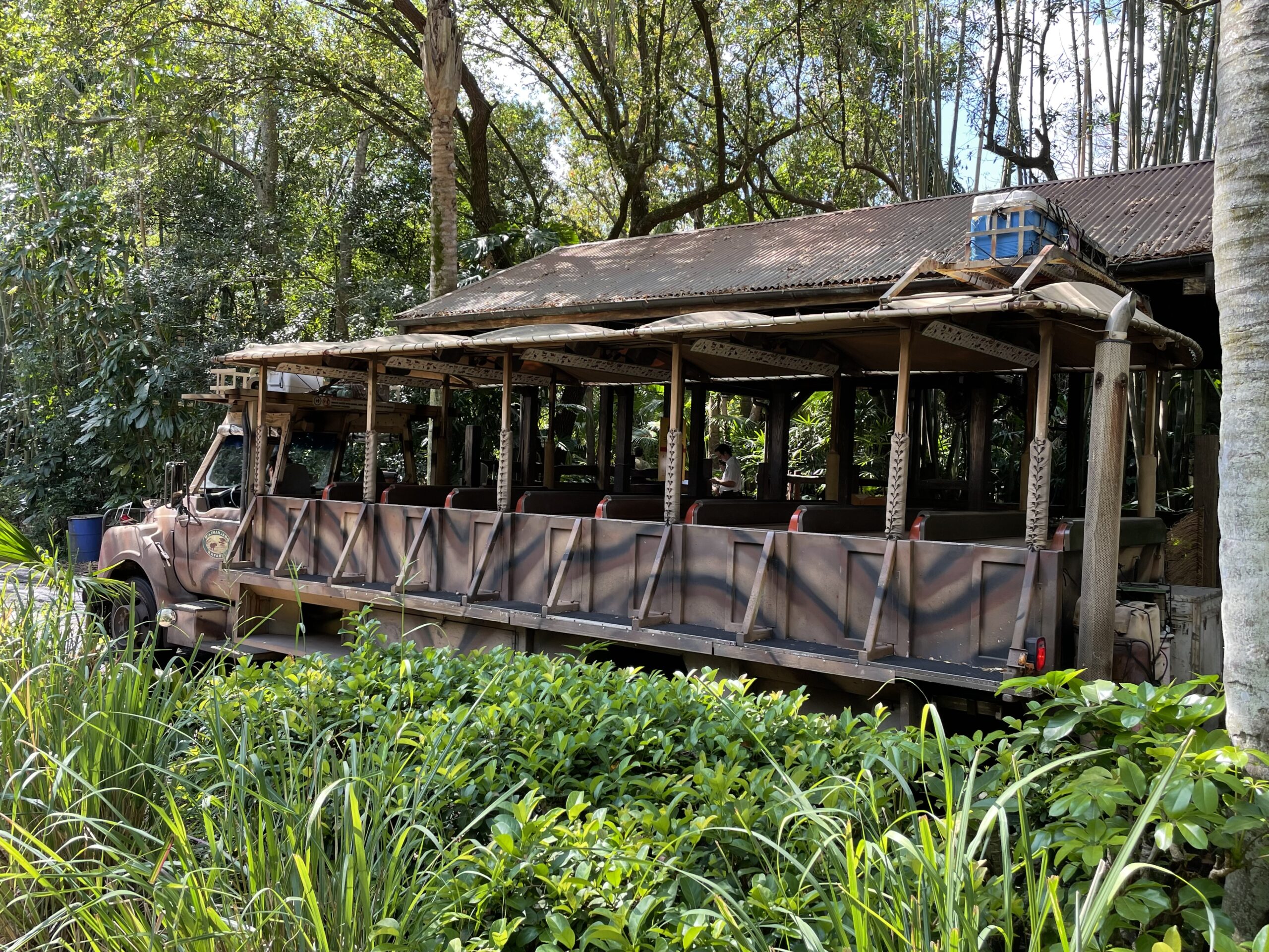 Experience A Real African Safari At Kilimanjaro Safaris In Disney's Animal Kingdom 13