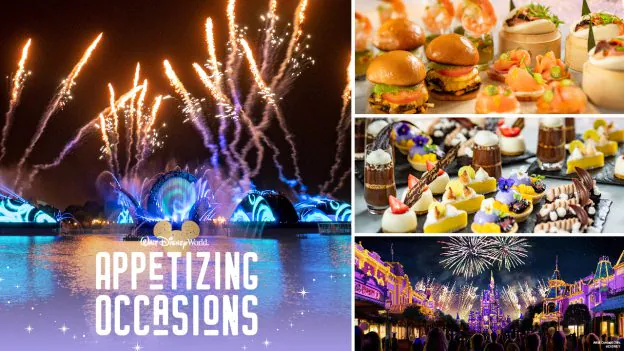 Best Places to View the Magic Kingdom Fireworks From Disney World Magic Kingdom 7