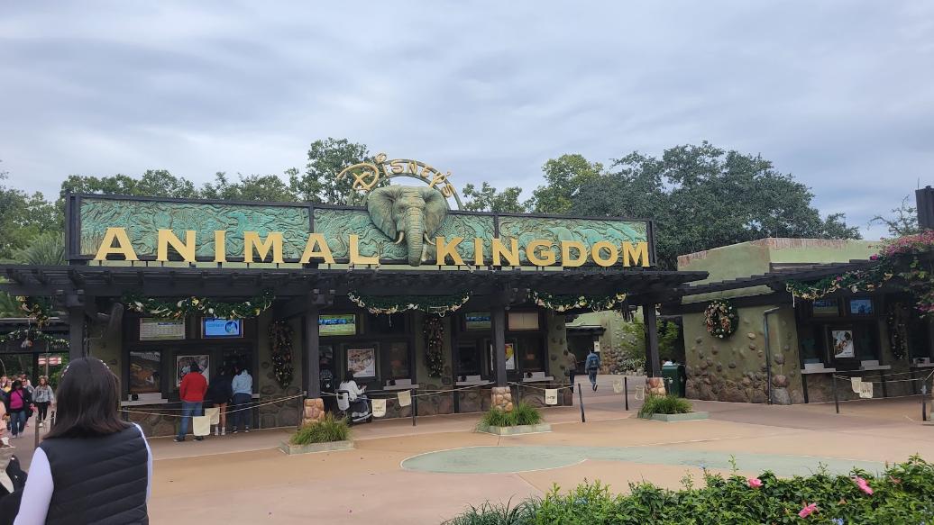 disney's animal kingdom rides and attractions (1)