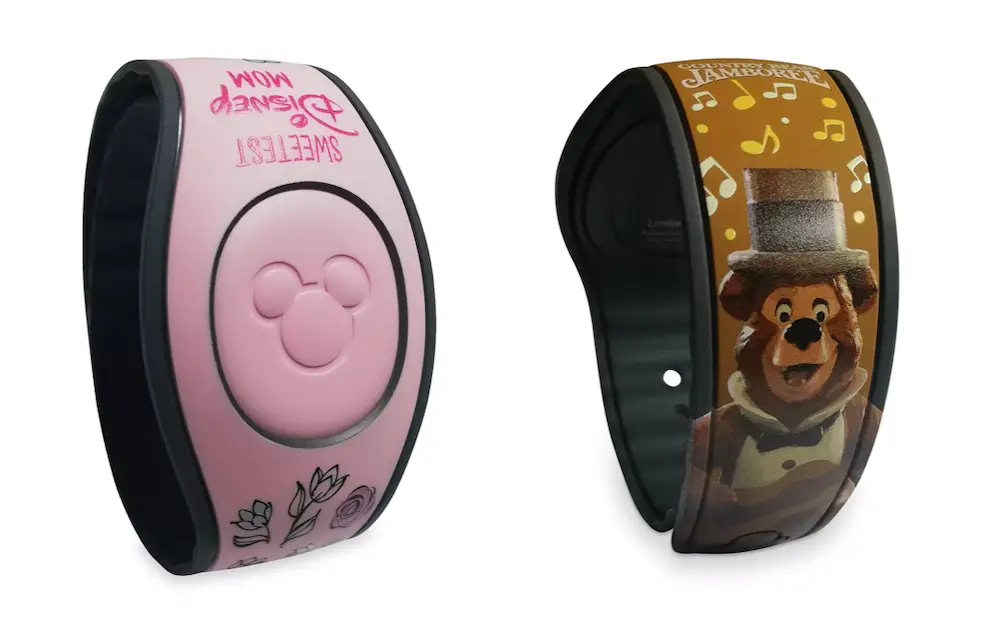 7 Things To Do With Your Magic Bands After Your WDW Visit Tips 3