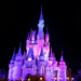 Can You Stay In The Castle At Disney World Without Winning Contest?