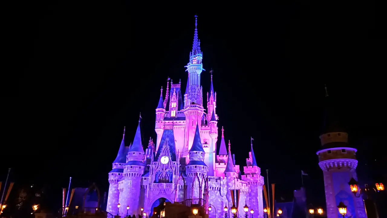 10 Top Secret Disney World Tips (Number 5 Is Awesome!) 18